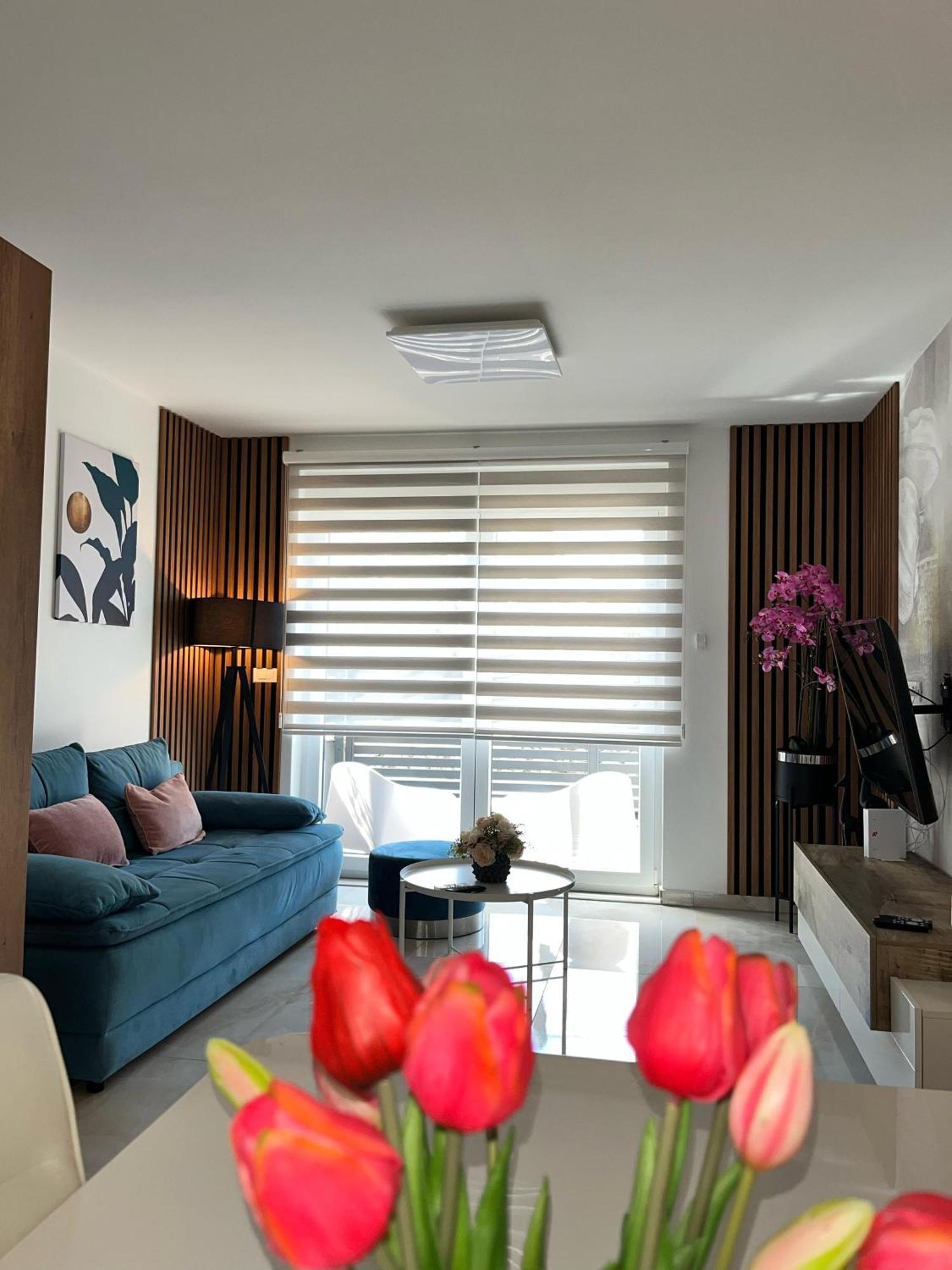 Villa Carpe Diem Vodice